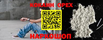 тгк Новодвинск
