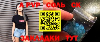 тгк Новодвинск