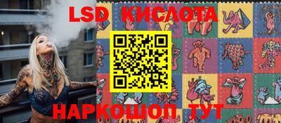 тгк Новодвинск