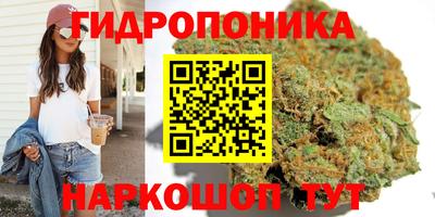 apvp Новокубанск